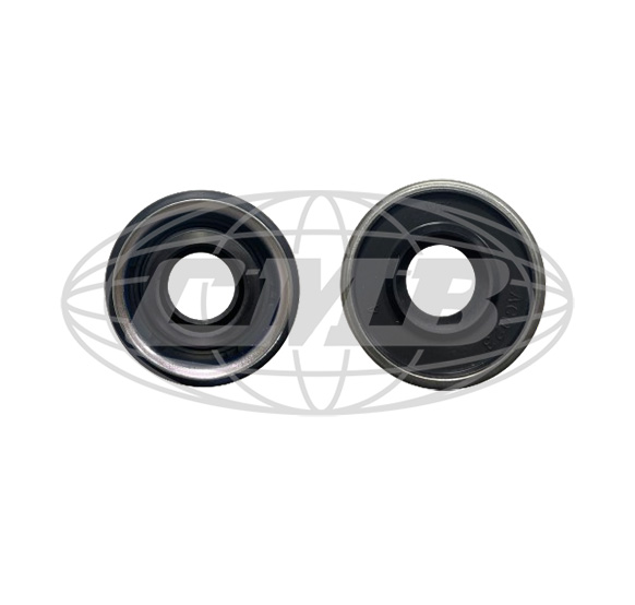 Shaft Seals D-41