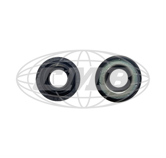 Shaft Seals D-48