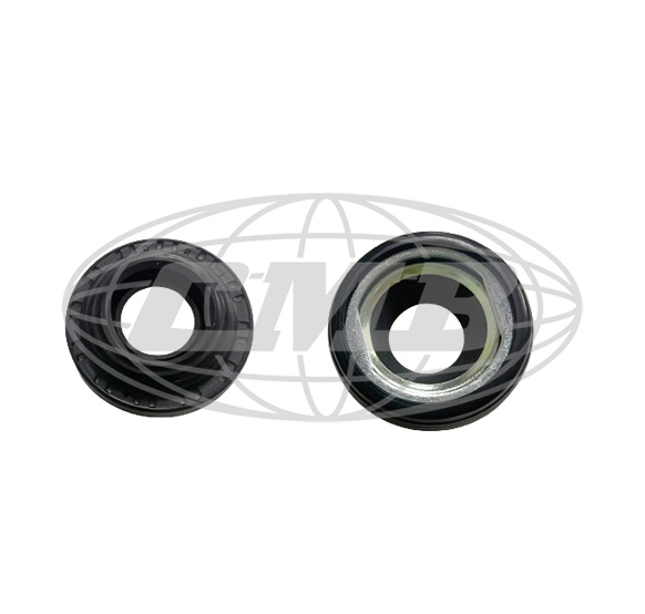 Shaft Seals D-50